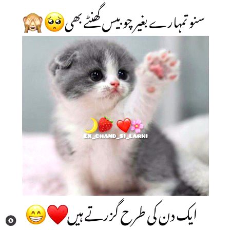 Jokes image