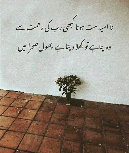 Motivational Quotes image