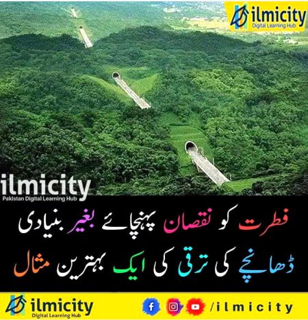 Social media post