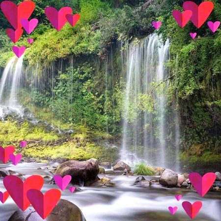 Beautiful Nature image