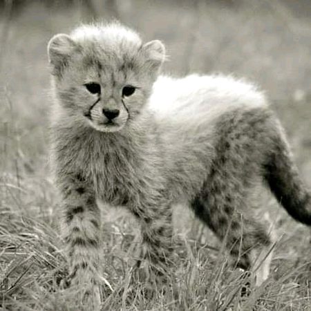 Beautiful Nature image