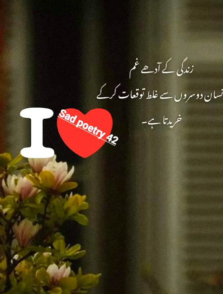 Sad Poetry image