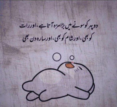 Memes & Satire image