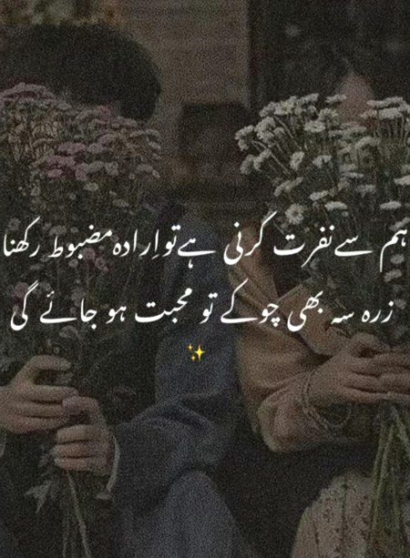 Attitude Quotes image