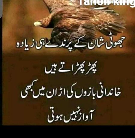 Attitude Poetry image