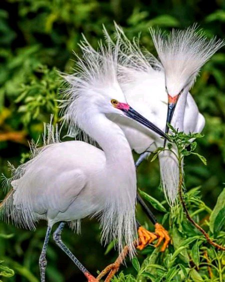 Beautiful Nature image