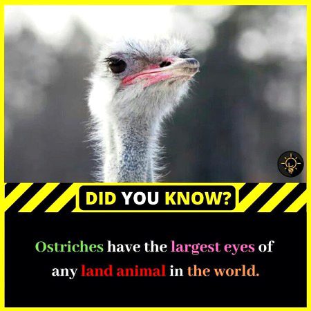 Interesting Posts image