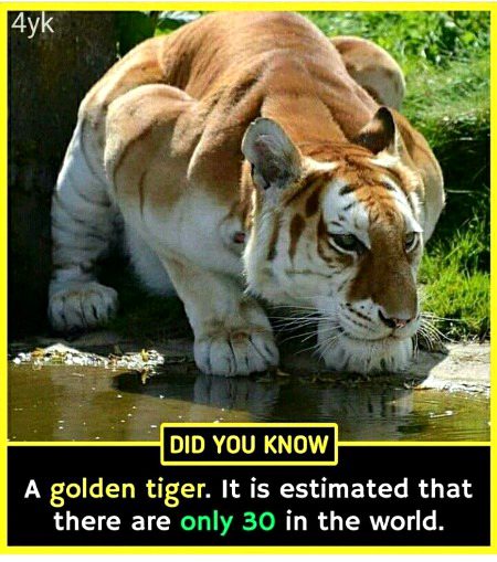 Interesting Posts image
