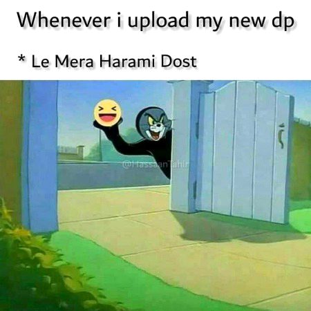Memes & Satire image
