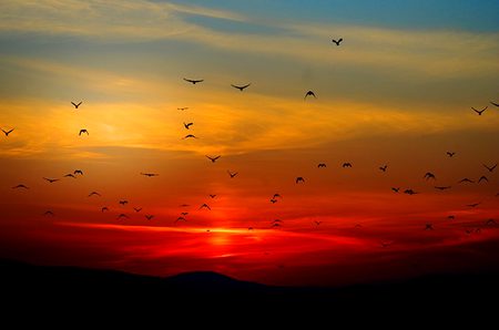 Beautiful Nature image