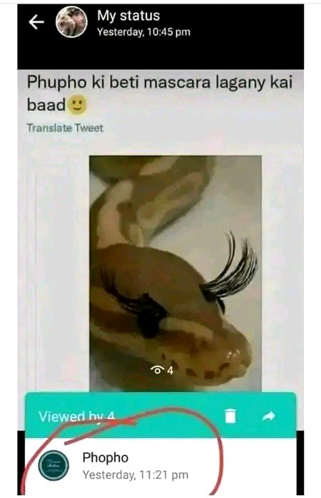 Memes & Satire image