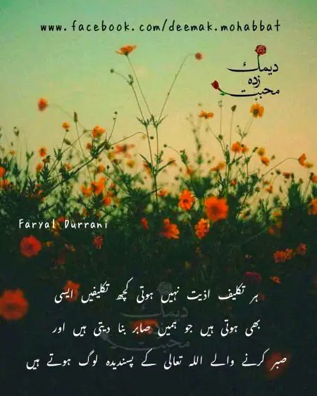 Islamic Quotes image