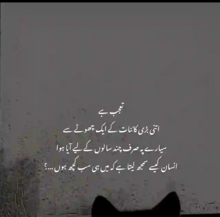 Social media post