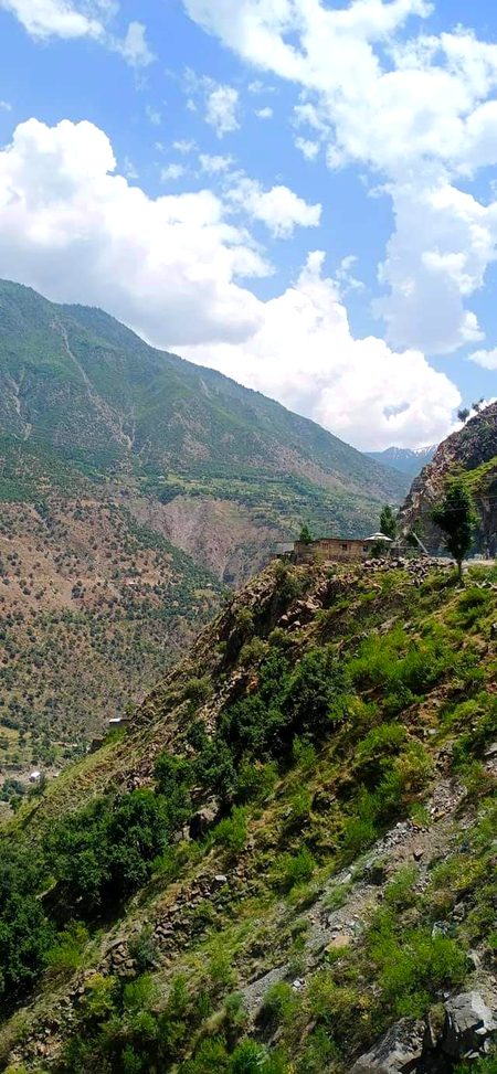 Beautiful Nature image