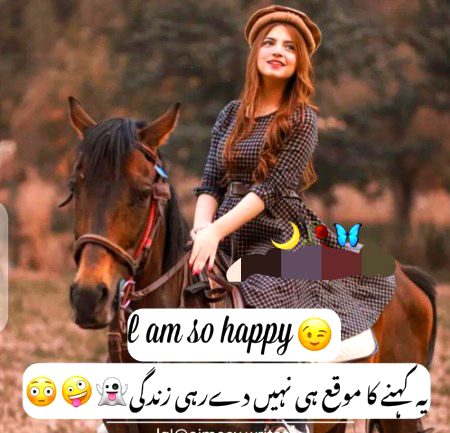 Memes & Satire image