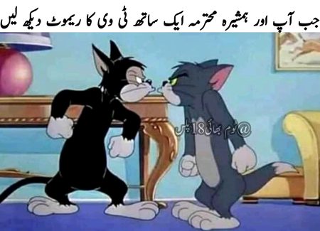 Memes & Satire image