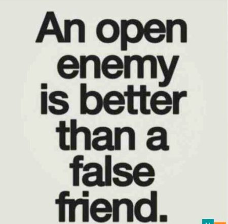 Life Advice image