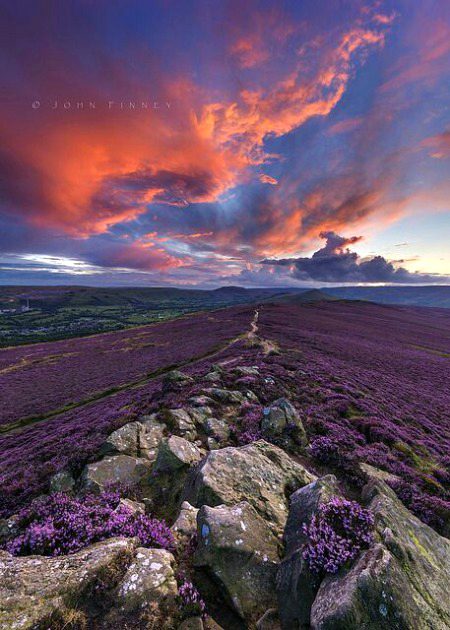 Beautiful Nature image