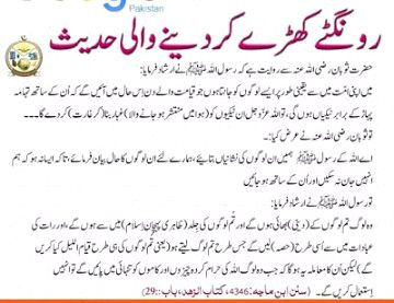 Islamic Quotes image