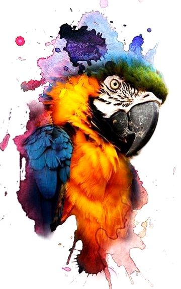 Paintings image