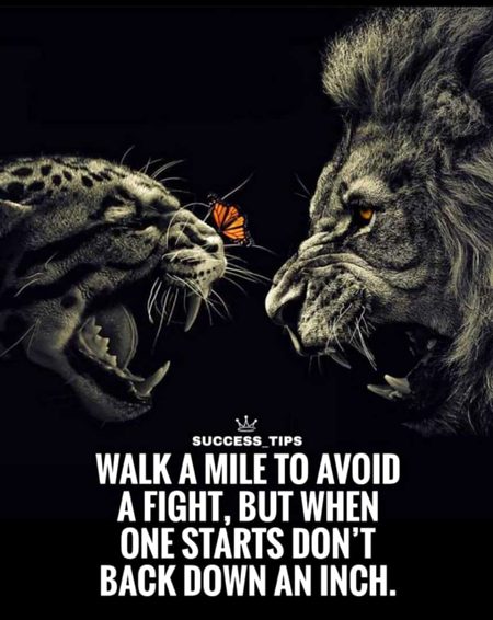 Motivational Quotes image
