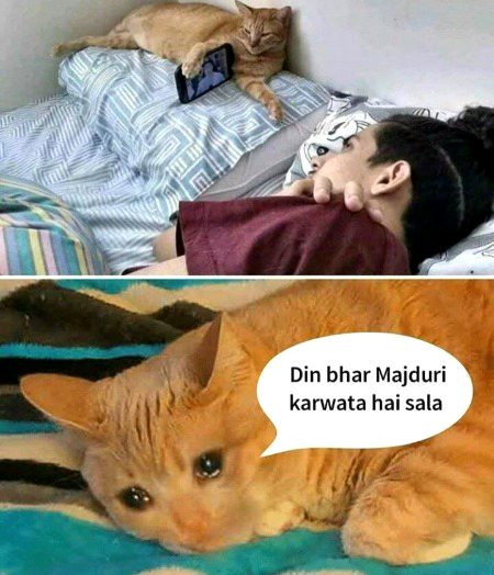 Memes & Satire image