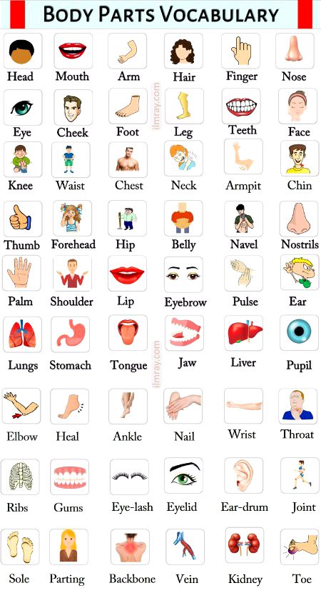 Tips for Students image