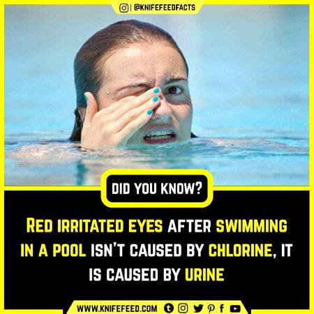 Interesting Posts image