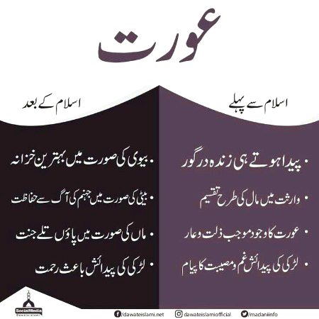 Interesting Posts image