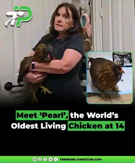 Interesting Posts image