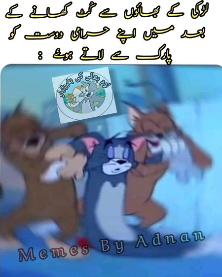 Memes & Satire image