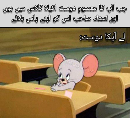 Memes & Satire image