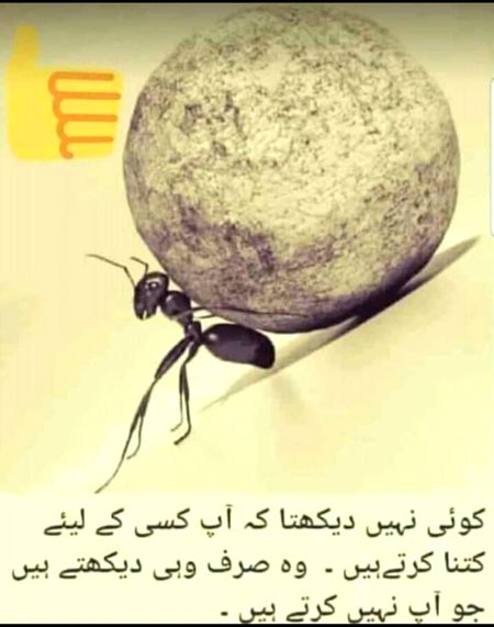 Social media post