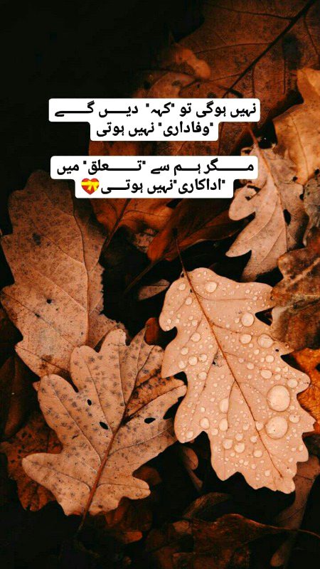 Attitude Poetry image