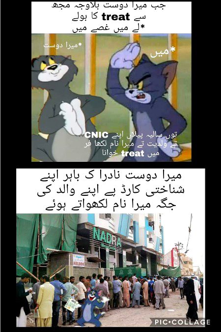 Memes & Satire image