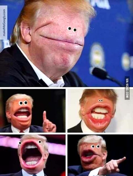 Memes & Satire image