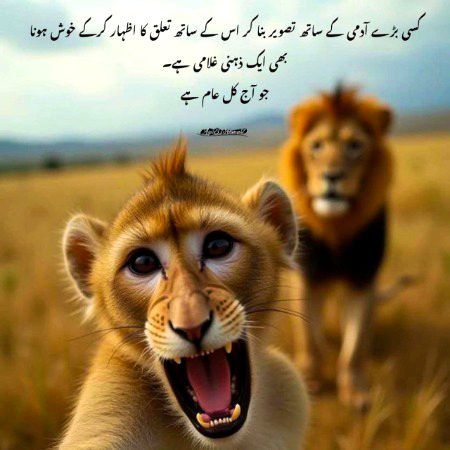 Social media post