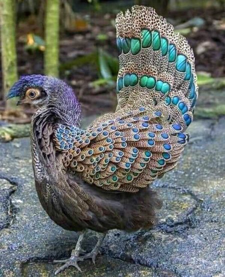 Beautiful Nature image