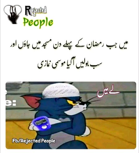 Memes & Satire image