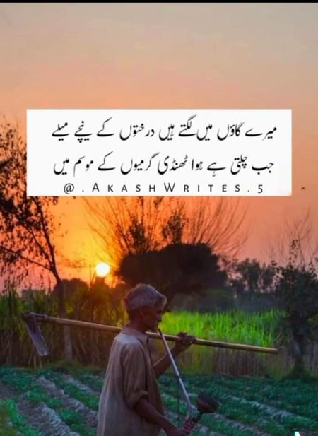 Social media post