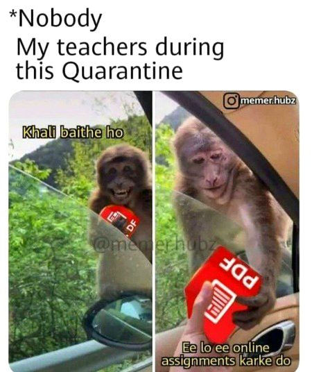 Memes & Satire image