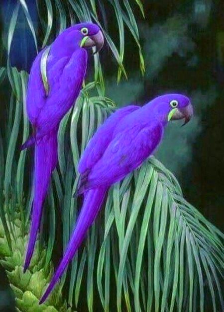 Beautiful Nature image