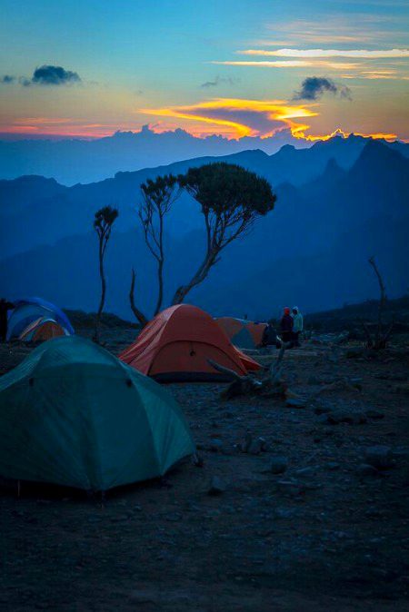 Beautiful Nature image