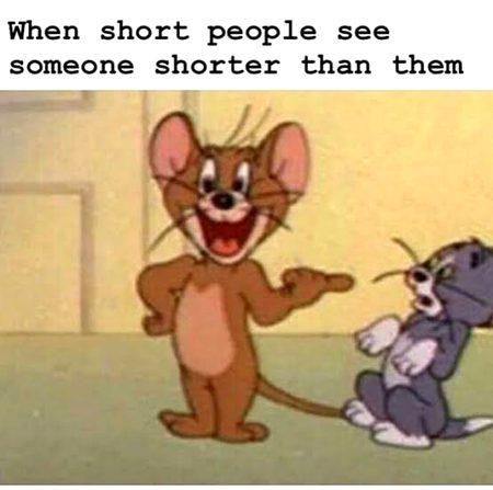 Memes & Satire image
