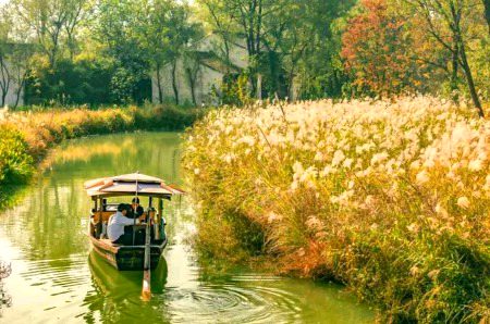 Beautiful Nature image