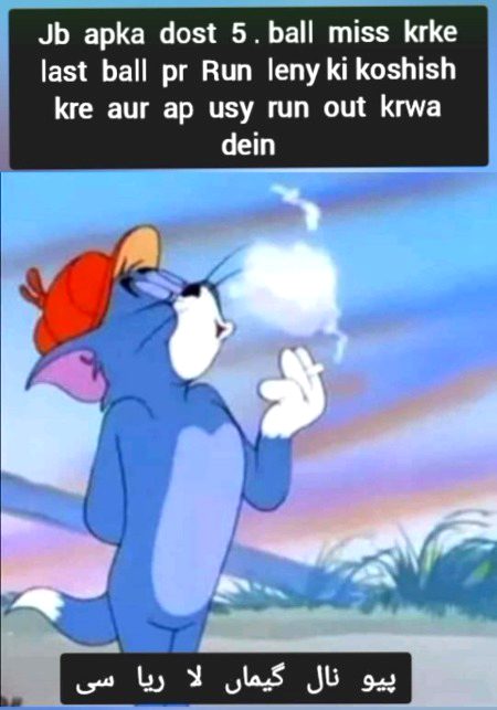 Memes & Satire image