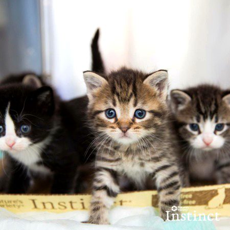 Beautiful Nature image