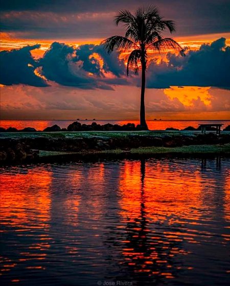 Beautiful Nature image