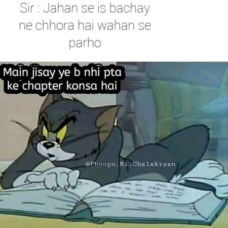 Memes & Satire image