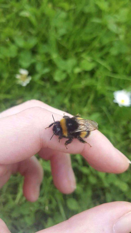 Beautiful Nature image